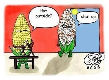 Corny-jokes-Funny-comic.jpg